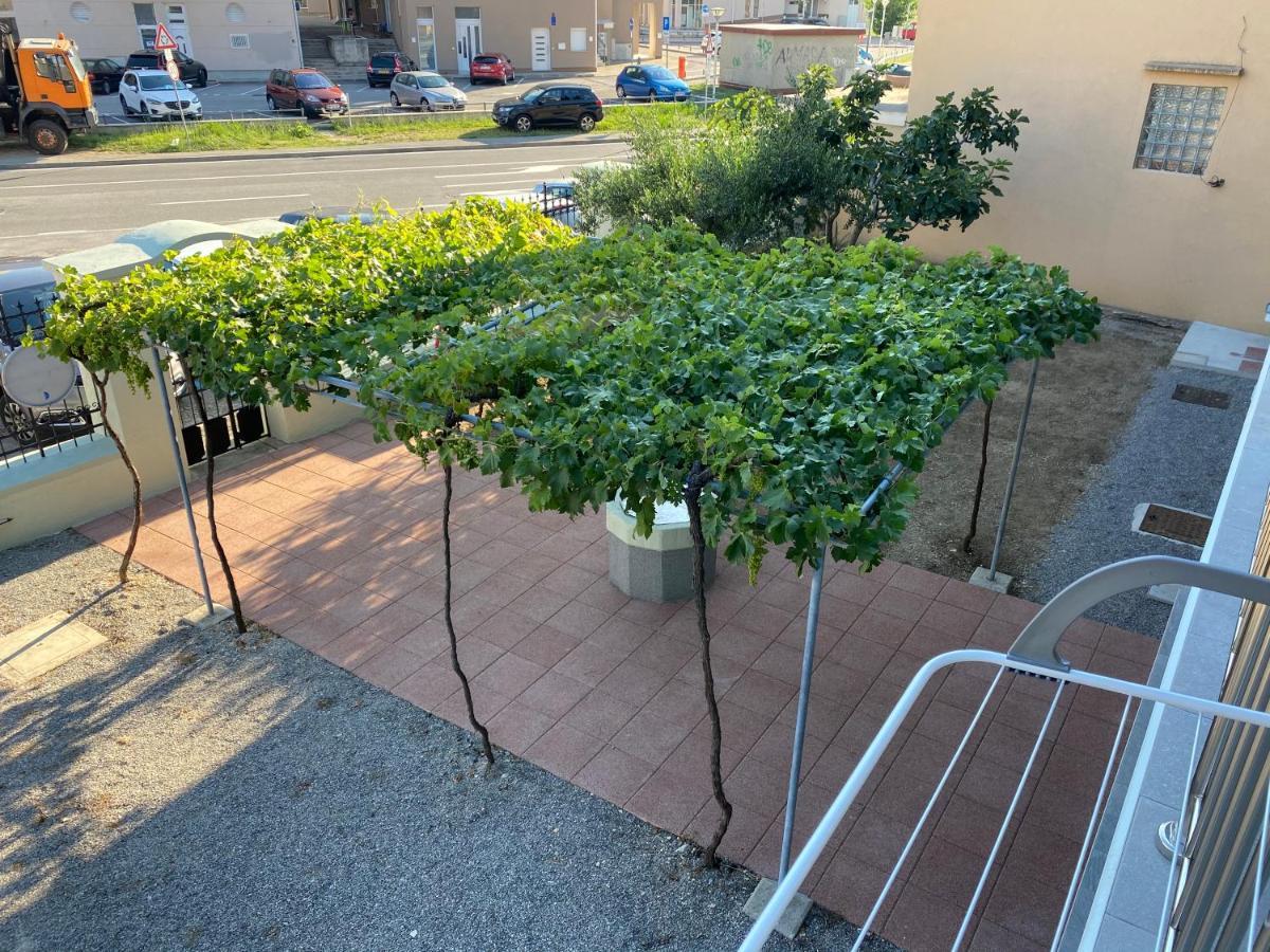 Green House Apartments نوفي فينودولسكي المظهر الخارجي الصورة