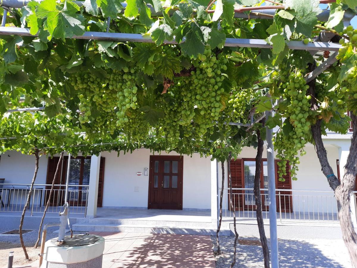 Green House Apartments نوفي فينودولسكي المظهر الخارجي الصورة